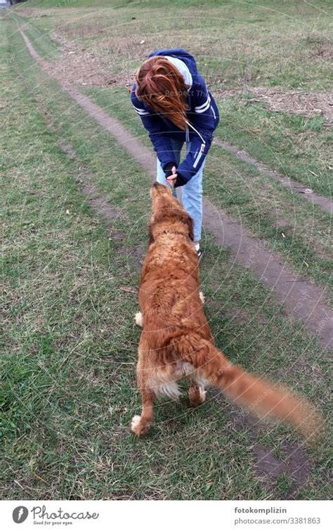 dutch animal porn|Redheaded chick from Netherlands nailed by a dog .